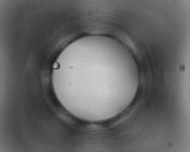 X0000102240549200807250840