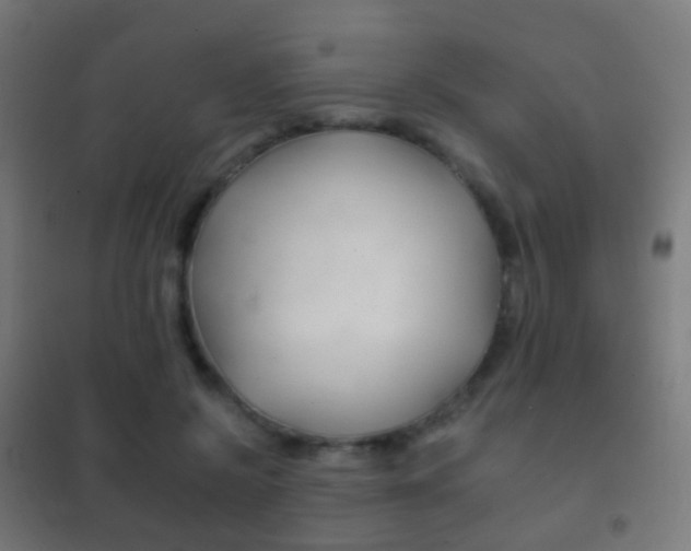 X0000102240550200807250840