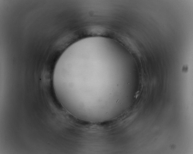 X0000102240551200807250840