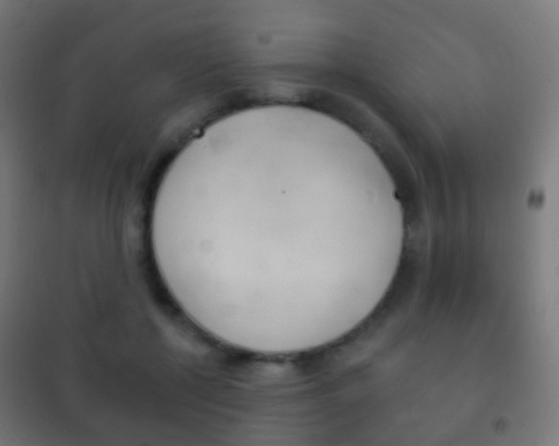 X0000102240552200807250840