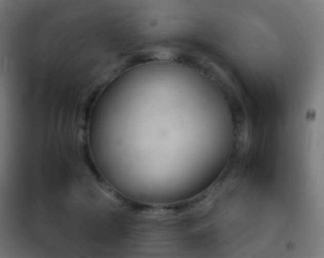 X0000102240553200807250840