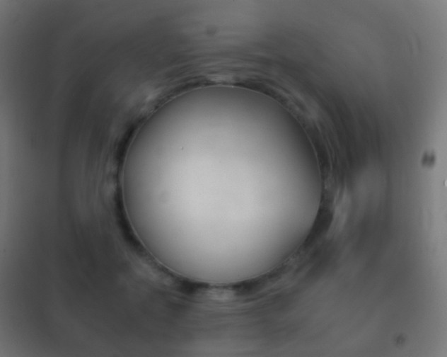 X0000102240554200807250840