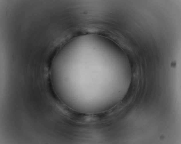 X0000102240555200807250840