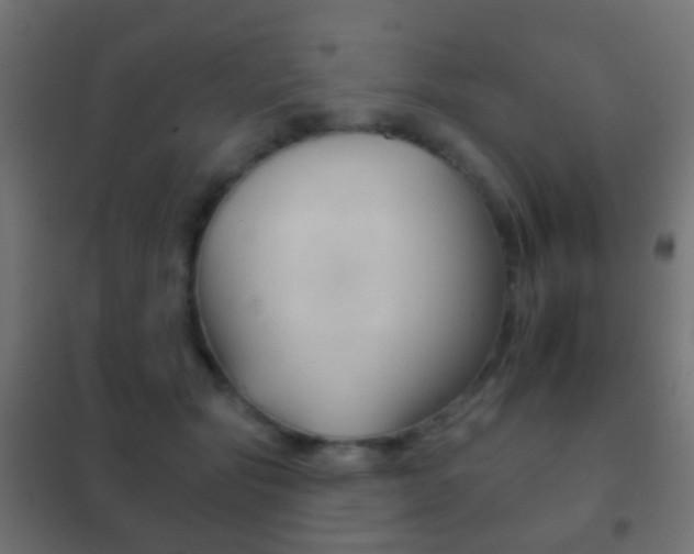 X0000102240557200807250840