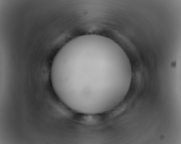 X0000102240558200807250840