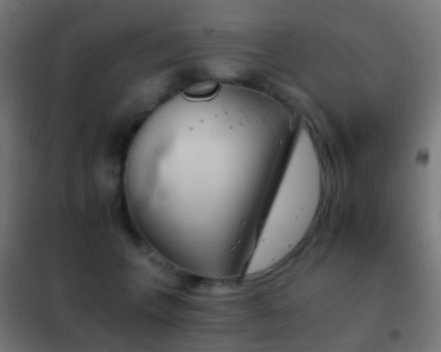 X0000102240559200807250840