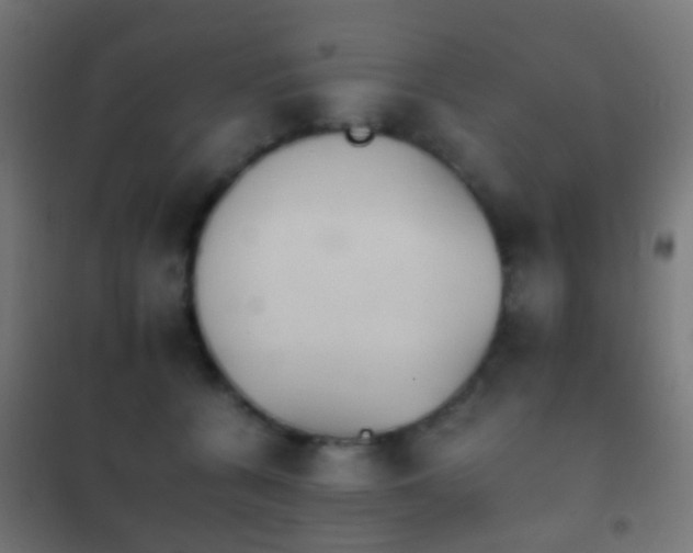 X0000102240560200807250840