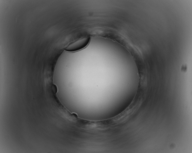 X0000102240561200807250840