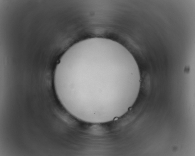 X0000102240562200807250840