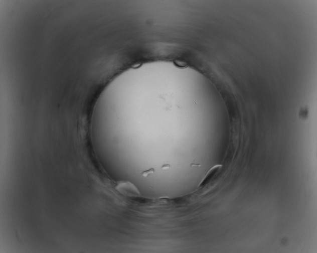 X0000102240563200807250840