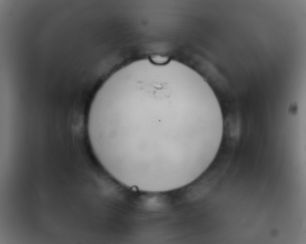 X0000102240564200807250840