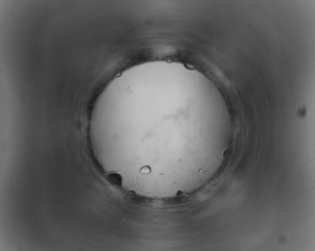 X0000102240565200807250840