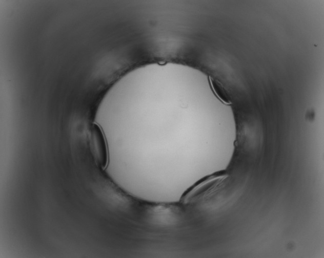 X0000102240566200807250840