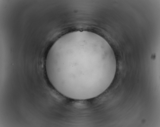 X0000102240567200807250840