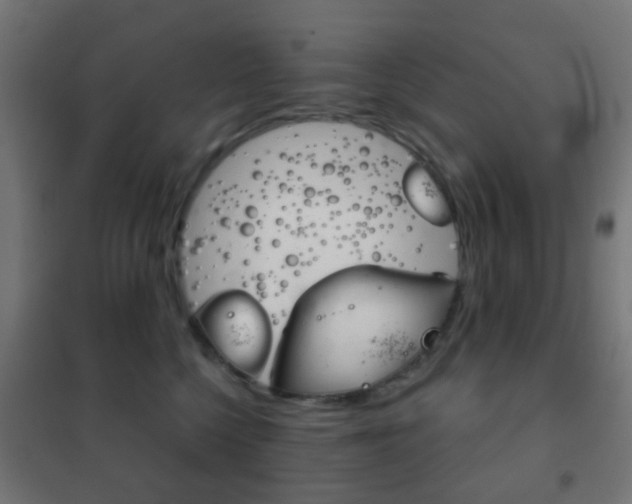 X0000102240568200807250840