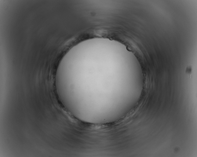 X0000102240569200807250840