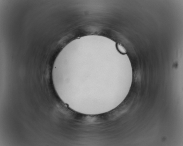 X0000102240570200807250840