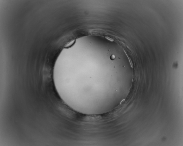 X0000102240571200807250840