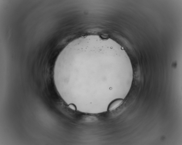 X0000102240572200807250840