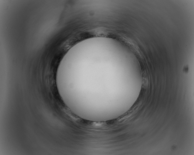 X0000102240573200807250840