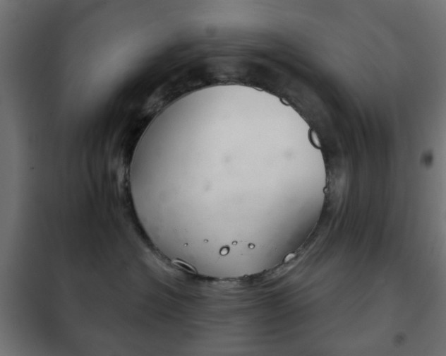 X0000102240574200807250840