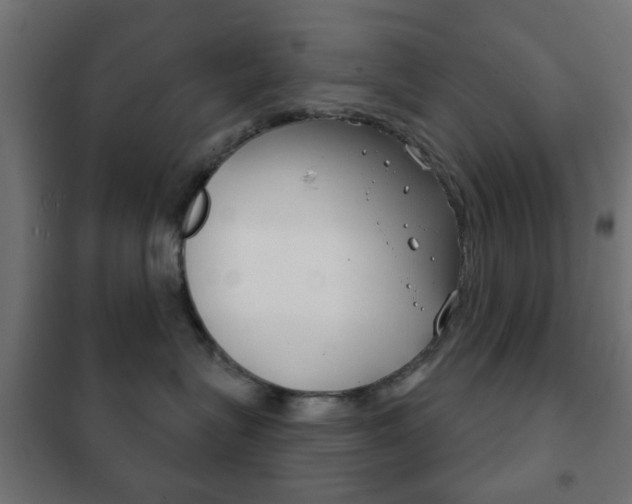 X0000102240575200807250840