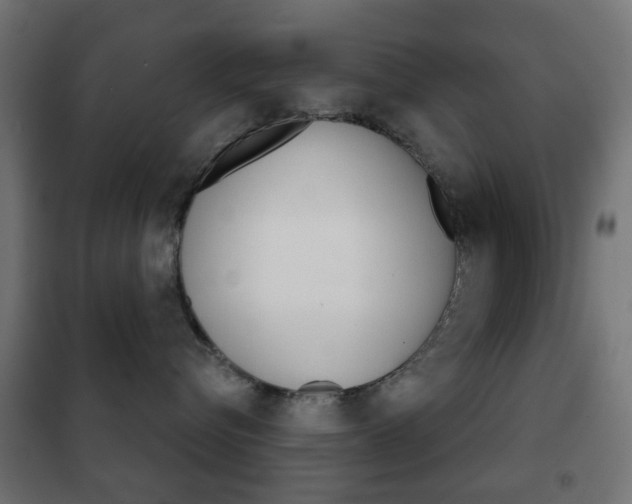 X0000102240576200807250841