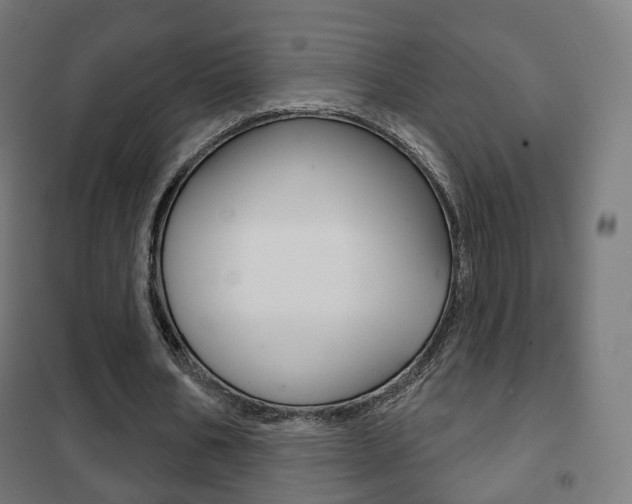 X0000102240578200807250840