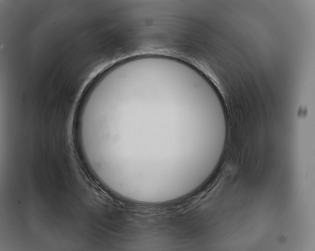 X0000102240579200807250840