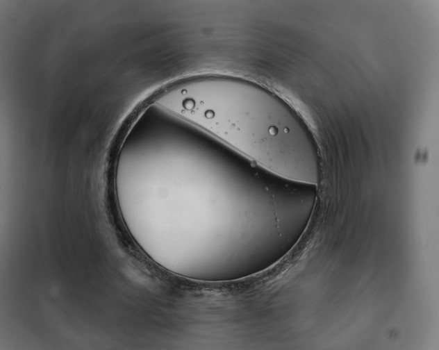 X0000102240580200807250840