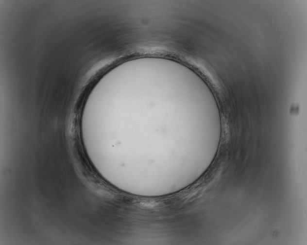X0000102240583200807250840