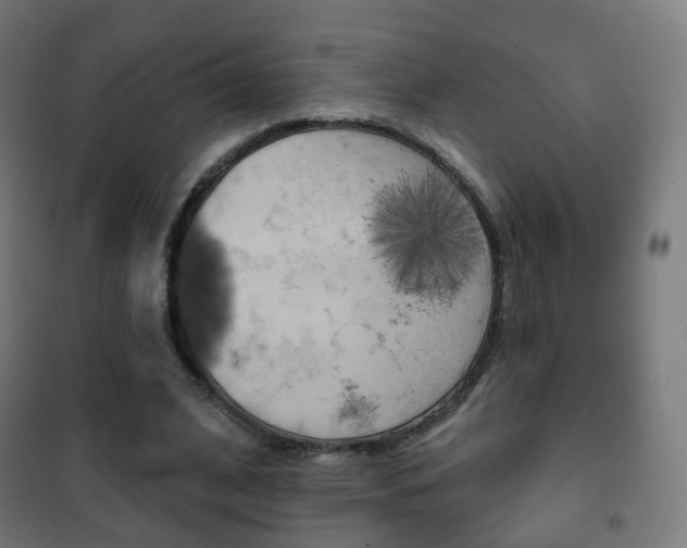X0000102240584200807250840