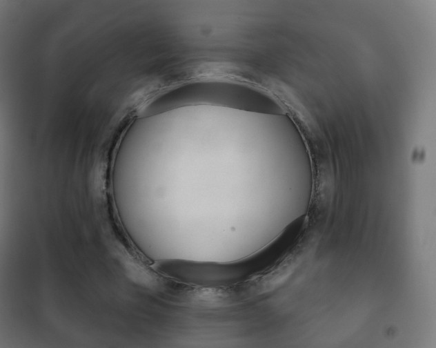 X0000102240585200807250840