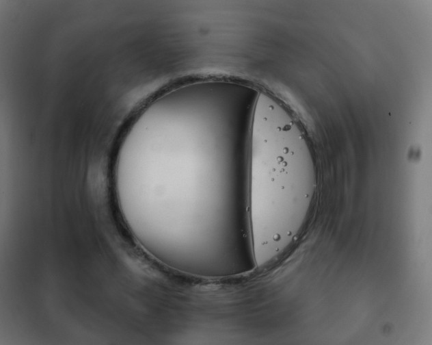 X0000102240588200807250840