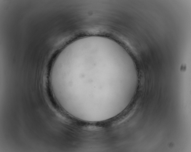 X0000102240590200807250839