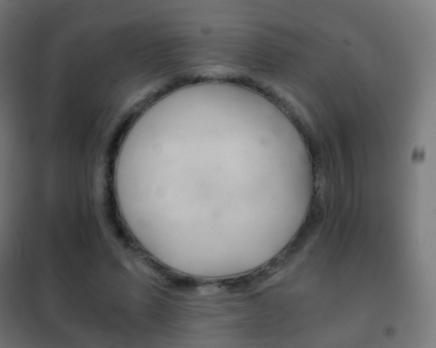 X0000102240591200807250839