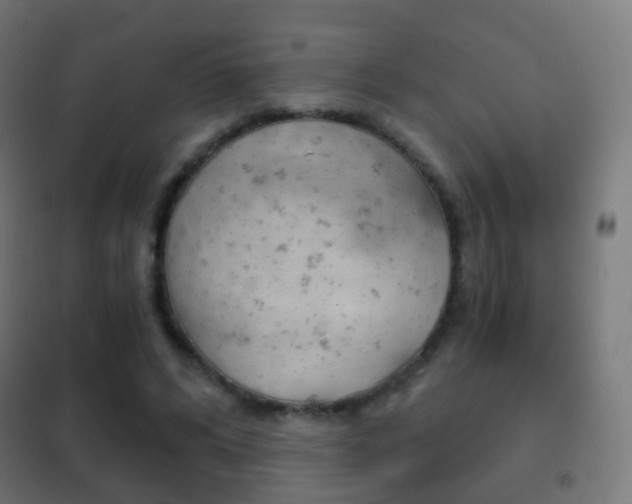 X0000102240592200807250839