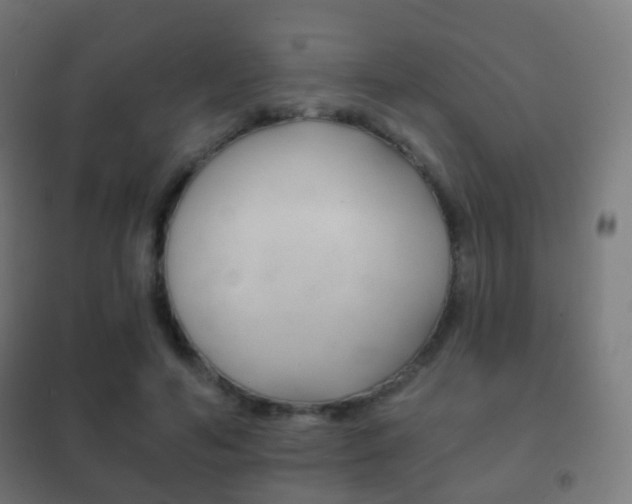 X0000102240594200807250839