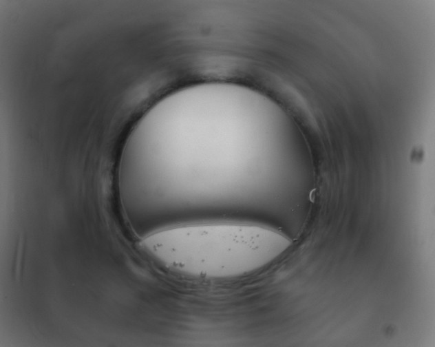 X0000102240596200807250839