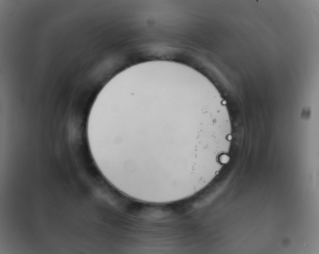 X0000102240597200807250839