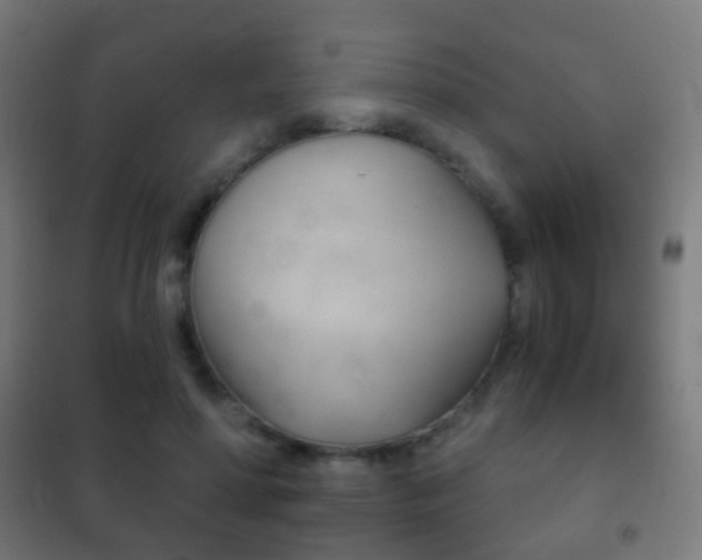 X0000102240598200807250839