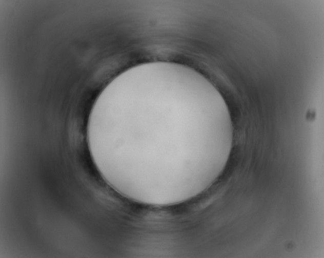X0000102240599200807250839