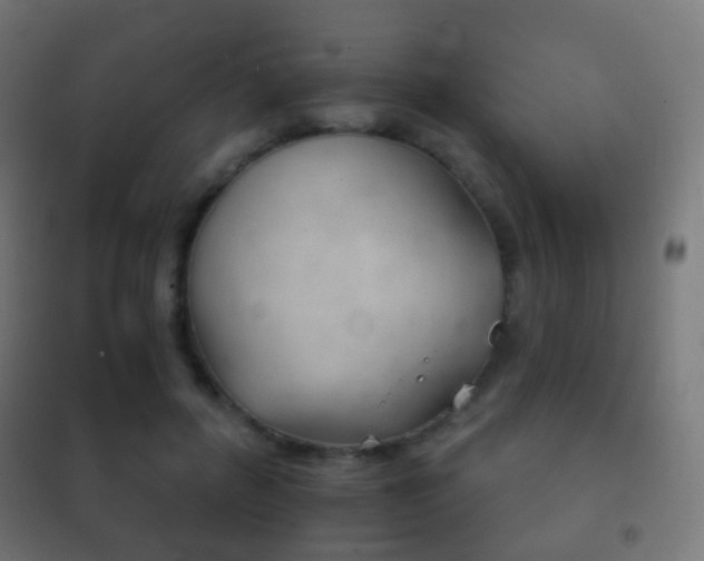 X0000102240600200807250839