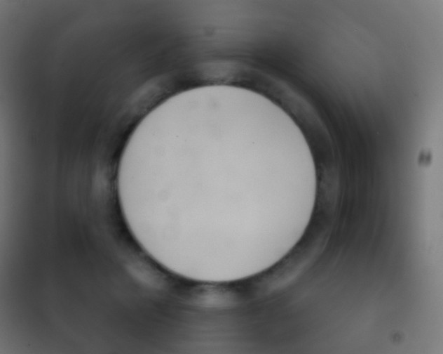 X0000102240601200807250839
