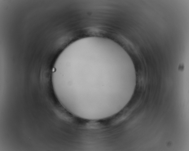 X0000102240603200807250839