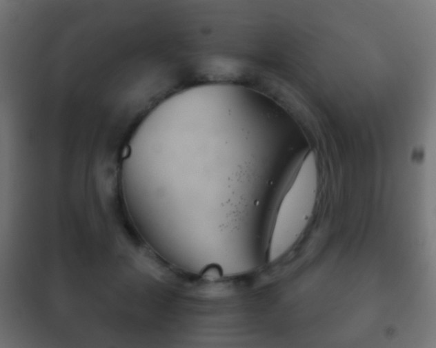 X0000102240604200807250839
