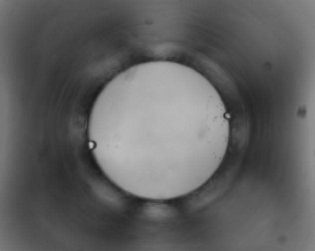X0000102240605200807250839