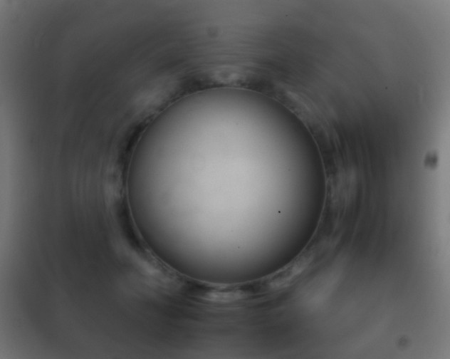 X0000102240606200807250839