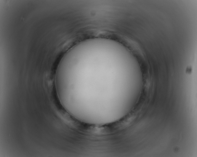 X0000102240607200807250839