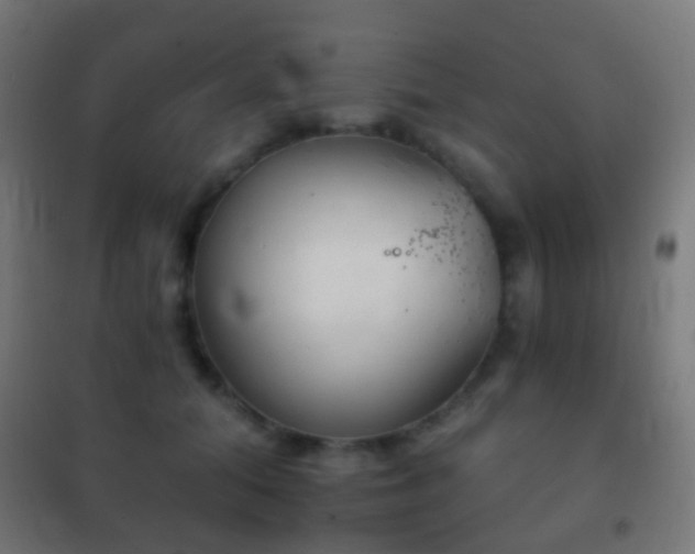 X0000102240608200807250839